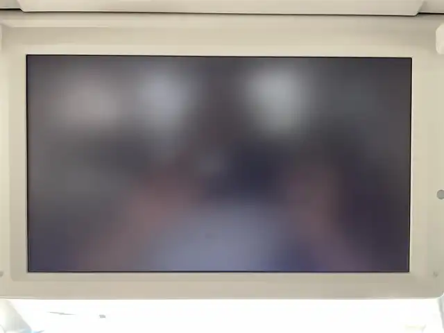 日産 エルグランド 250ハイウェイスターS 千葉県 2016(平28)年 8万km ブリリアントホワイトパール 純正HDDナビ/・CD/DVD/MSV/Bluetooth/フルセグTV/純正フリップダウンモニター/アラウンドビューカメラ/ハーフレザーシート/両後パワースライドドア/インテリジェントキー/クルーズコントロール/バックドアイージークローザー/前後コーナーセンサー/純正LEDヘッドライト/フォグランプ/純正18インチアルミホイール/ビルトインETC/本革巻きステアリング/サイド＆カーテンエアバッグ