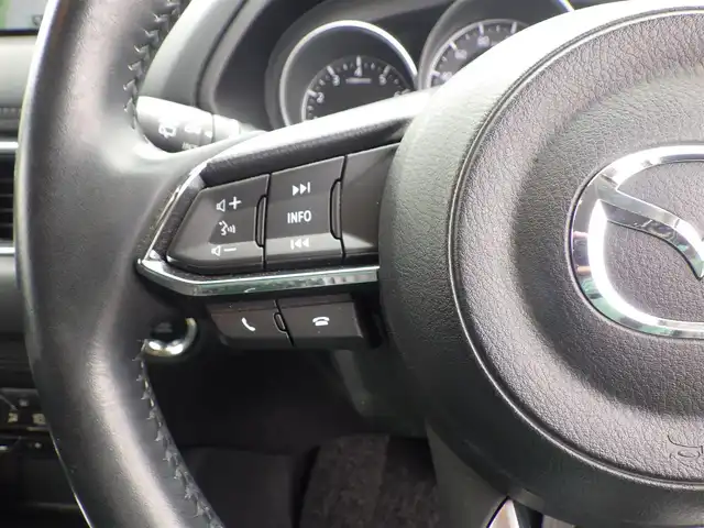 マツダ ＣＸ－５ 25S プロアクティブ 千葉県 2017(平29)年 3.5万km ジェットブラックマイカ スマートシティブレーキサポート/ブラインドスポットモニタリング/レーンキープ・アシスト・システム/アクティブ・ドライビング・ディスプレイ/純正SDナビ/【Bluetooth接続】/サイド/バックカメラ/ドライブレコーダー/革巻きステアリング/ステアリングスイッチ/ETC/LEDヘッドライト/ウインカーミラー/コーナーセンサー/純正19インチアルミホイル/サイド/カーテンエアバッグ/アドバンストキーレスエントリー
