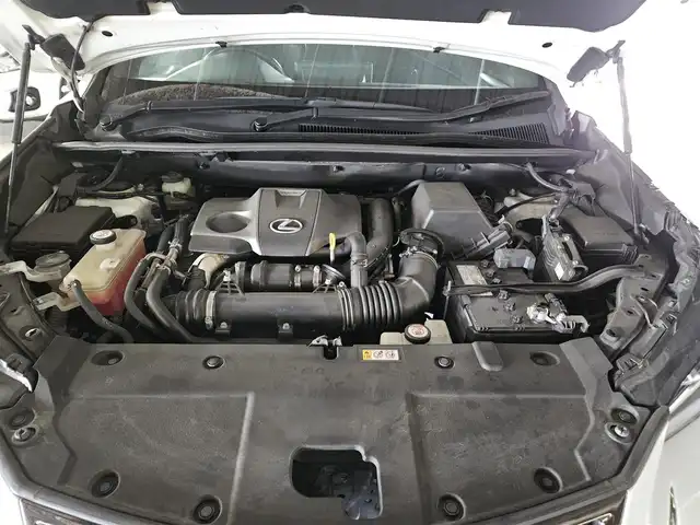 レクサス ＮＸ 300 Fスポーツ 宮崎県 2019(令1)年 8.8万km ホワイトノーヴァガラスフレーク 〇純正10.3インチナビ/〇フルセグTV/〇ハンズフリーパワーバックドア/〇バックカメラ/〇パノラミックビューモニター/〇ETC/〇レーダークルーズコントロール/〇セーフティシステムプラス/〇パーキングサポートブレーキ/〇ターボ/〇三眼フルLEDヘッドライト/〇左右独立温度調整オートエアコン/〇革巻きステアリングホイール/パドルシフト/〇ステアリングヒーター/〇専用革スポーツシート/〇パワーシート/シートヒーター/〇TRD19インチアルミホイール/〇TRDエアロ/〇スマートエントリー/スタートシステム/〇禁煙車