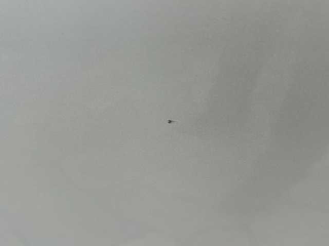 トヨタ ヴェルファイア 2．4Z 静岡県 2013(平25)年 8.8万km ホワイトパールクリスタルシャイン 純正ナビ/AM/FM/CD/DVD/SD/フルセグ/DS/Bluetooth/主要装備/・純正ナビ　/・ドライブレコーダー　/・コーナーセンサー　/・ＥＴＣ　/・両側パワースライドドア　/・スマートキー　/・後席モニター/・バックカメラ　/・フリップダウンモニター　/・プッシュスタート　/・純正アルミホイール　/・オートライト　/・フォグランプ/・横滑り防止システム