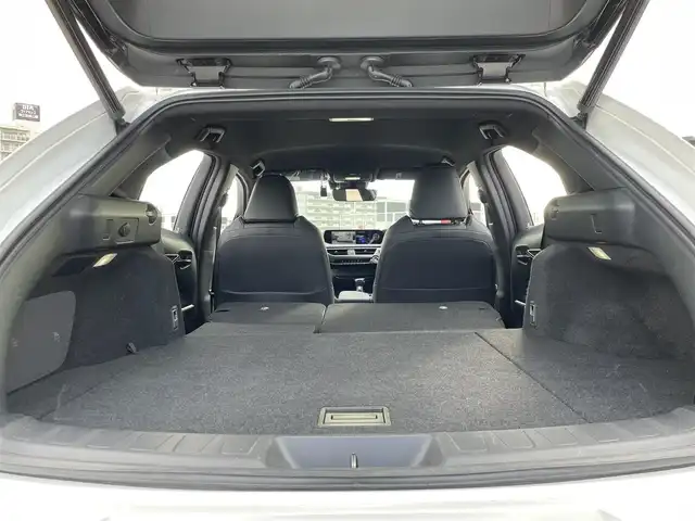 レクサス ＵＸ 250h アーバンエレガンス 東京都 2021(令3)年 2.2万km ソニッククォーツ ワンオーナー/純正ナビ（CD/DVD/地デジTV/BT)/バックカメラ・全方位カメラ/黒皮シート/純正１８インチアルミ/パワーバックドア/ETC2.0/パドルシフト/メモリーパワーシート/シートヒーター・ステアリングヒーター/ドライブレコーダー（DRT-H58A)/エンジンプッシュボタン/BSM/Lexus　Safety　System　＋/PCS（プリクラッシュセーフ）/LTA（レーントレーシングアシスト）/AHB（オートマチックハイビーム）/RSA(ロードサインアシスト）/レーダークルーズコントロール/先行車発進お知らせ/保証書・取説・ナビ説