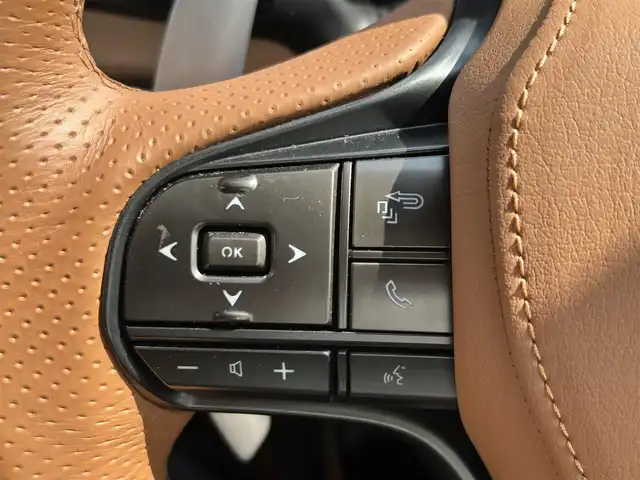 レクサス ＬＣ 500h Lパッケージ 愛知県 2019(平31)年 5.5万km ラディアントレッドコントラストレイヤリング スマートキー/プッシュスタート/ガラスルーフ/マークレビンソンサウンド/純正メーカーナビ/フルセグTV（キャンセラー付き）/BT/バックカメラ/ビルトインETC/純正21インチAW/純正キャリパー/レクサスセーフティセンス/BSM/HUD/レーダークルーズコントロール/クリアランスソナー/前後ドライブレコーダー/レザーシート/前席パワーシート（D席メモリー付き）/前席シートヒーター /エアシート/ハンドルヒーター /純正フロアマット/取説、保証書/スペアキー