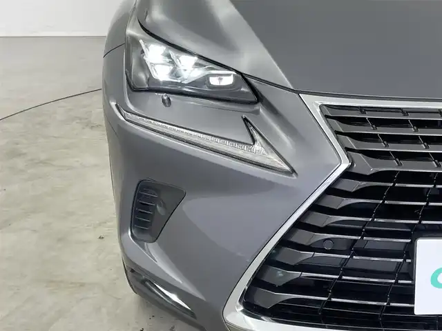 レクサス ＮＸ 300 Iパッケージ 埼玉県 2018(平30)年 4.2万km マーキュリーグレーマイカ 純正１０．１インチナビ　マルチビューモニター　黒レザー　ＢＳＭ　ビルトインＥＴＣ２．０　三眼ＬＥＤ　ステアリングヒーター　メモリシート　シートヒーター　レーダークルーズコントロール　オートライト　地デジＴＶ