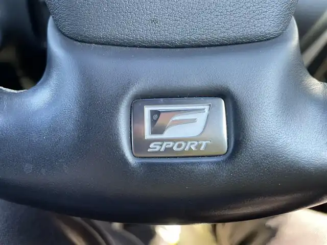 レクサス ＥＳ 300h Fスポーツ 石川県 2020(令2)年 4.2万km ホワイトノーヴァガラスフレーク ワンオーナー/純正ナビ/フルセグTV/全方位カメラ/LEDヘッドライト/ETC/サンルーフ/革シート/レクサスセーフティ/レーダークルーズ/純正アルミホイール/スマートキー/プッシュスタート/電動ミラー/レーンアシスト/ドライブレコーダー/保証書