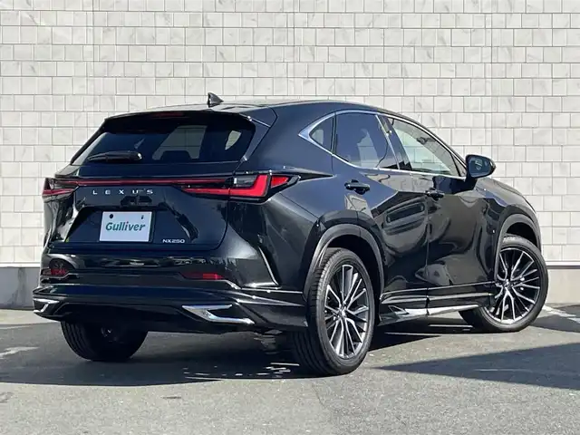 レクサス ＮＸ 250 愛知県 2023(令5)年 0.7万km グラファイトブラックガラスフレーク 〇純正9.8インチナビ/〇フルセグTV/〇ハンズフリーパワーバックドア/〇バックカメラ/〇ビルトインETC2.0/〇レーダークルーズコントロール/〇コーナーセンサー/〇セーフティシステムプラス/〇ブラインドスポットモニター/パーキングサポートブレーキ/〇LEDヘッドランプ/〇LEDフロントフォグランプ/〇革巻きステアリングホイール/パドルシフト/〇合皮シート/〇パワーシート/〇スマートエントリー/スタートシステム/〇左右独立温度調整オートエアコン/ナノイーX/〇デジタルインナーミラー/〇純正オプション20インチアルミホイール/〇モデリスタエアロ(F・R)/〇禁煙車