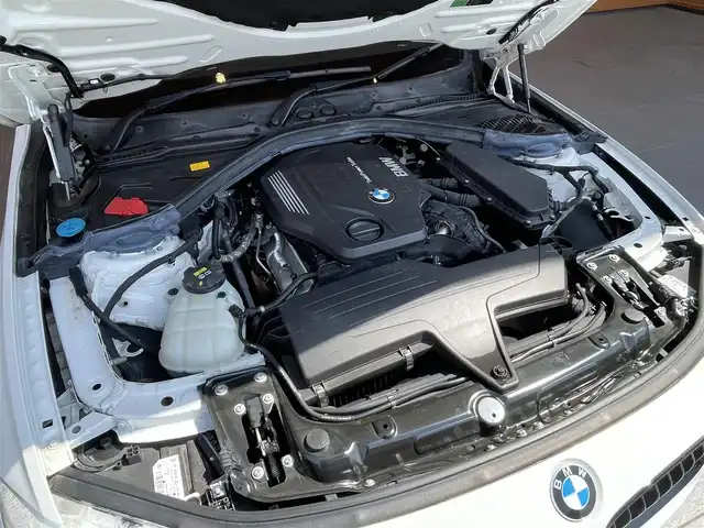 ＢＭＷ ３２０ｄ Mスポーツ エディションシャドー 愛知県 2017(平29)年 3.1万km アルピンホワイトⅢ 純正19インチAW/黒革シート/シートヒーター/パワーシート/インテリジェントセーフティ/ACC/LKA/BSM/フットトランクオープナー/LEDヘッドライト/ナビ/Bluetooth/バックカメラ/DVD/スマートキー