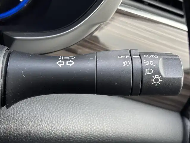 日産 エルグランド 250ハイウェイスターS 滋賀県 2018(平30)年 3.7万km インペリアルアンバーP 純正HDDナビ/(フルセグTV CD DVD Bluetooth)/純正フリップダウンモニター/アラウンドビューモニター/両側パワースライドドア/クルーズコントロール/革巻きステアリング/ステアリングリモコン/ハーフレザーシート/オットマン/プッシュスタート/スマートキー×２/純正フロアマット/電動格納ミラー/ウインカーミラー/ドアバイザー/AW付スタッドレスタイヤ積載