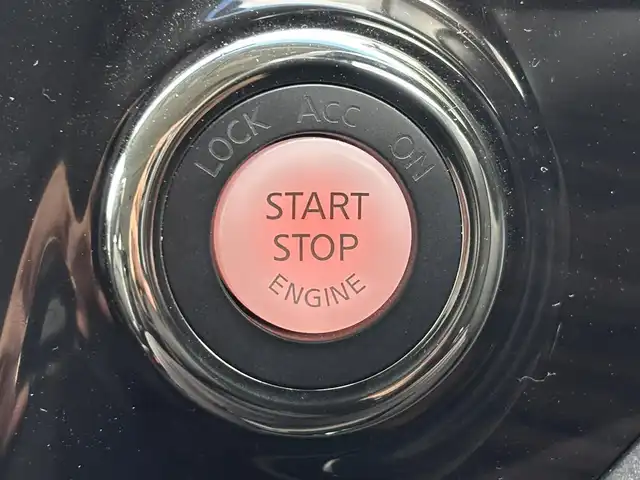 日産 エルグランド 250ハイウェイスターS 滋賀県 2018(平30)年 3.7万km インペリアルアンバーP 純正HDDナビ/(フルセグTV CD DVD Bluetooth)/純正フリップダウンモニター/アラウンドビューモニター/両側パワースライドドア/クルーズコントロール/革巻きステアリング/ステアリングリモコン/ハーフレザーシート/オットマン/プッシュスタート/スマートキー×２/純正フロアマット/電動格納ミラー/ウインカーミラー/ドアバイザー/AW付スタッドレスタイヤ積載