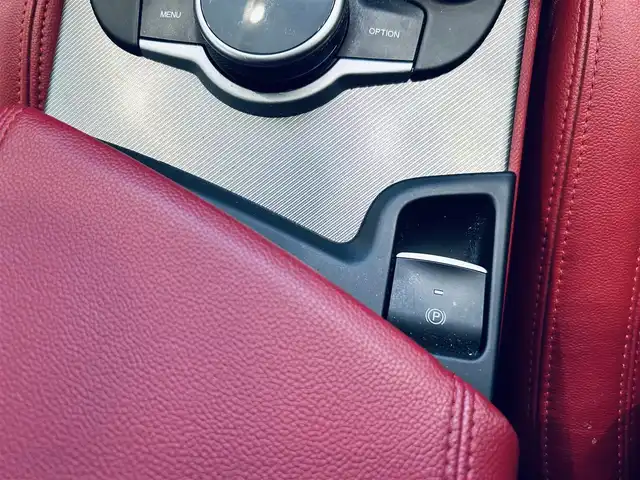 アルファロメオ ステルヴィオ 2.2ターボ ディーゼルQ4 スポーツPKG 大阪府 2019(令1)年 6.5万km 白 ACC/HarmanKardon/純正ディスプレイオーディオ/applecarplay/バックカメラ/純正19インチAW/HIDヘッドライト/電動リアゲート/赤革/パワーシート/Dシートメモリ/シートヒーター/ステアリングヒーター/ルーフレール/パドルシフト/ブラインドスポット/クリアランスソナー