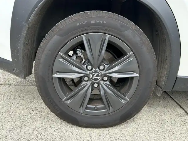 レクサス ＵＸ 300h バージョンC 長崎県 2024(令6)年 2.5万km ソニッククォーツ ワンオーナー/純正ナビ/（Bluetooth/フルセグ）/バック・サイド・フロントカメラ/衝突軽減システム/レーンアシスト/ブラインドスポットモニター/レーダークルーズ/ETC2.0/パワーバックドア/レザーシート/パワーシート/シートヒーター/ハンドルヒーター/パドルシフト/ハンドル電動チルト/純正17インチAW