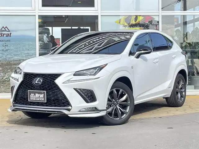 レクサス ＮＸ 300h Fスポーツ 道北・旭川 2019(平31)年 3.5万km ホワイトノーヴァガラスフレーク AIS検査済み/純正ナビ/Bluetooth接続/フルセグTV/サイドカメラ/バックカメラ/スカイルーフ/レクサスセーフティシステム/BSM/パワーバックドア/レーダークルーズコントロール/パドルシフト/LEDヘッドライト/前席パワーシート/メモリーシート/前席シートヒーター・シートエアコン/ステアリングヒーター/コーナーセンサー/純正フロアマット/ドライブレコーダー/ETC2.0