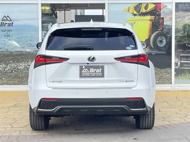 レクサス ＮＸ 300h Fスポーツ 道北・旭川 2019(平31)年 3.5万km ホワイトノーヴァガラスフレーク AIS検査済み/純正ナビ/Bluetooth接続/フルセグTV/サイドカメラ/バックカメラ/スカイルーフ/レクサスセーフティシステム/BSM/パワーバックドア/レーダークルーズコントロール/パドルシフト/LEDヘッドライト/前席パワーシート/メモリーシート/前席シートヒーター・シートエアコン/ステアリングヒーター/コーナーセンサー/純正フロアマット/ドライブレコーダー/ETC2.0