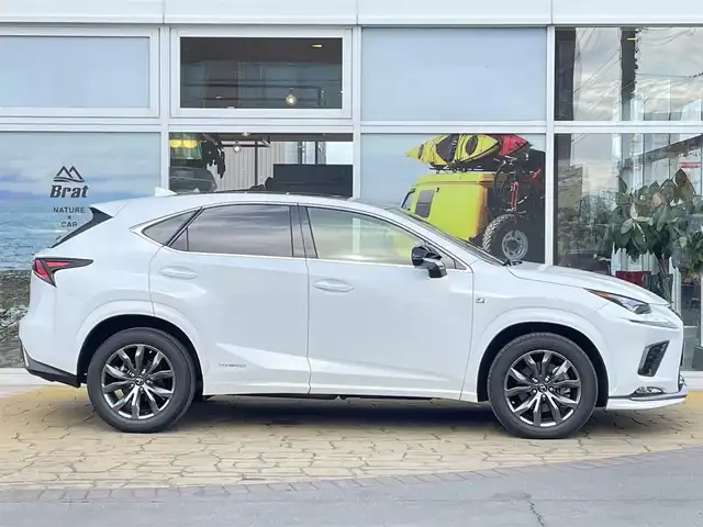 レクサス ＮＸ 300h Fスポーツ 道北・旭川 2019(平31)年 3.5万km ホワイトノーヴァガラスフレーク AIS検査済み/純正ナビ/Bluetooth接続/フルセグTV/サイドカメラ/バックカメラ/スカイルーフ/レクサスセーフティシステム/BSM/パワーバックドア/レーダークルーズコントロール/パドルシフト/LEDヘッドライト/前席パワーシート/メモリーシート/前席シートヒーター・シートエアコン/ステアリングヒーター/コーナーセンサー/純正フロアマット/ドライブレコーダー/ETC2.0