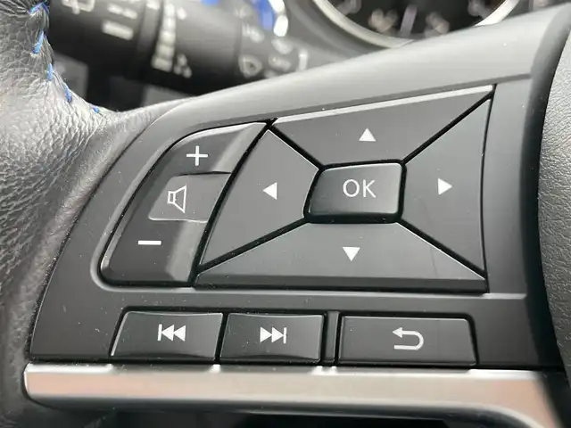 日産 エクストレイル オーテック iパッケージ 大阪府 2020(令2)年 4.1万km カスピアンブルー 純正ナビ　/ビルトインETC　/全方位モニター　/ドライブレコーダー（前）/フルセグTV　/パワーバックドア　/プロパイロット　/レザーシート　/パワーシート　/電動パーキング　/革巻ステアリング　/純正19インチアルミホイール　/LEDヘッドランプ/クルーズコントロール/デジタルインナーミラー