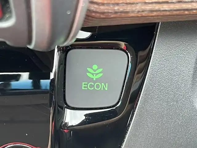 ホンダ フリード ハイブリット クロスター 兵庫県 2023(令5)年 1.2万km フィヨルドミストパール 純正9インチプレミアムインターナビ/Bluetooth/フルセグ/HDMI/アップルカープレイ/CD/DVD/純正15.6インチフリップダウン/ETC/両側パワースライド/ハーフレザーシート/シートヒーター