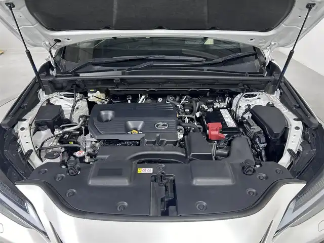 レクサス ＮＸ 250 バージョンL 佐賀県 2022(令4)年 3.2万km ソニッククォーツ ワンオーナー/純正ナビ/（フルセグ/Bluetooth/CD/DVD）/サンルーフ/モデリスタエアロ（フロント・リアアンダー・サイド）/全周囲カメラ/クルーズコントロール(追従あり)/ブラインドスポットモニター/前後ドライブレコーダー/テレビキャンセラー/置くだけ充電/デジタルインナーミラー/パワーバックドア/シートメモリー/シートヒーター/エアシート/スカッフプレート/ビルドインETC/レーンキープアシスト/オートライト/オートマチックハイビーム/保証書/カードキー/プロアクティブドライビングアシスト/リアカメラディテクション/パーキングアシストブレーキ/クリアランスソナー/リアクロストラフィックアラート/ワードサインアシスト/レーンディパーチャーアラート/安心降車アシスト/パドルシフト/ステアリングスイッチ