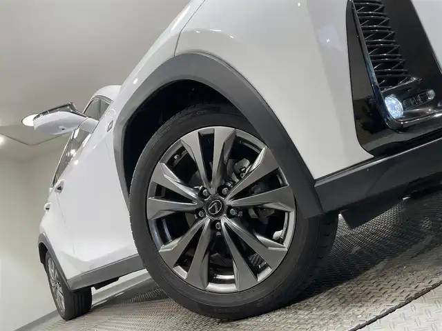 レクサス ＵＸ 250h Fスポーツ 愛知県 2023(令5)年 1.4万km ホワイトノーヴァガラスフレーク 純正メモリーナビ/フルセグTV/Bluetooth/全方位カメラ/レクサスセーフティーシステム/衝突軽減ブレーキ/ブラインドスポットモニター/ロードサインアシスト/クリアランスソナー/リアトラフィックアラート/パーキングサポートアラート/アダクティブクルーズコントロール/パワーバックドア/ETC2.0/D/N席 パワーシート/シートメモリー/シートヒーター/ステアリングヒーター/ドライブレーダー（前後）/三眼LEDヘッドライト/オートライト/オートハイビーム