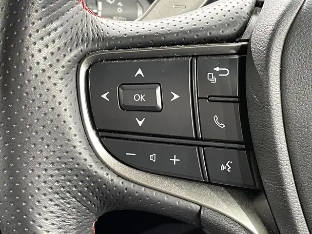 レクサス ＵＸ 250h Fスポーツ 愛知県 2023(令5)年 1.4万km ホワイトノーヴァガラスフレーク 純正メモリーナビ/フルセグTV/Bluetooth/全方位カメラ/レクサスセーフティーシステム/衝突軽減ブレーキ/ブラインドスポットモニター/ロードサインアシスト/クリアランスソナー/リアトラフィックアラート/パーキングサポートアラート/アダクティブクルーズコントロール/パワーバックドア/ETC2.0/D/N席 パワーシート/シートメモリー/シートヒーター/ステアリングヒーター/ドライブレーダー（前後）/三眼LEDヘッドライト/オートライト/オートハイビーム