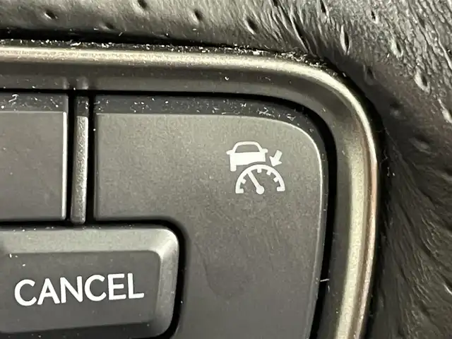 レクサス ＵＸ 250h Fスポーツ 愛知県 2023(令5)年 1.4万km ホワイトノーヴァガラスフレーク 純正メモリーナビ/フルセグTV/Bluetooth/全方位カメラ/レクサスセーフティーシステム/衝突軽減ブレーキ/ブラインドスポットモニター/ロードサインアシスト/クリアランスソナー/リアトラフィックアラート/パーキングサポートアラート/アダクティブクルーズコントロール/パワーバックドア/ETC2.0/D/N席 パワーシート/シートメモリー/シートヒーター/ステアリングヒーター/ドライブレーダー（前後）/三眼LEDヘッドライト/オートライト/オートハイビーム