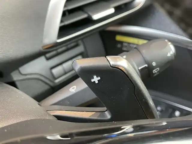 プジョー ３００８ ブルー HDi スペシャルED 鹿児島県 2018(平30)年 3.9万km パールⅡ 360°カメラ/衝突軽減ブレーキ/ACCFフォグライト/レーンキープアシスト/ブラインドスポットモニター/ハーフレザーシート/ルーフレール/電動リアゲート/パドルシフト/LEDヘッドライト/フォグライト/プッシュスタート