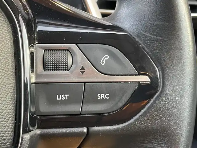 プジョー ３００８ ブルー HDi スペシャルED 鹿児島県 2018(平30)年 3.9万km パールⅡ 360°カメラ/衝突軽減ブレーキ/ACCFフォグライト/レーンキープアシスト/ブラインドスポットモニター/ハーフレザーシート/ルーフレール/電動リアゲート/パドルシフト/LEDヘッドライト/フォグライト/プッシュスタート