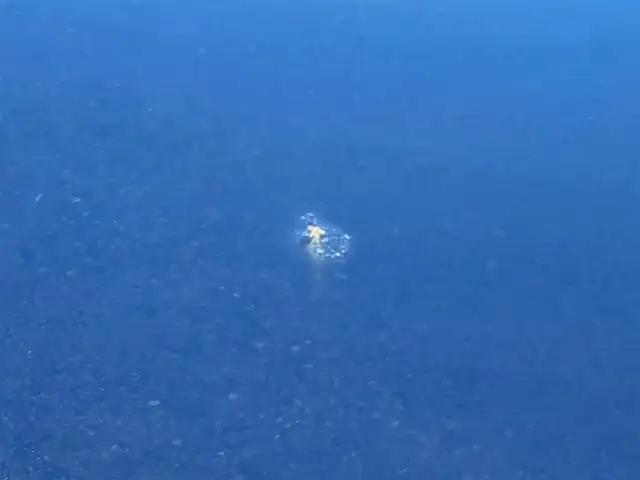 ホンダ Ｎ ＢＯＸ カスタム G 道央・札幌 2014(平26)年 6.7万km プレミアムダイナミックブルーパール ４WD/社外SDナビ/CD/DVD/BT/フルセグ/シティブレーキアクティブシステム/横滑り防止装置/バックカメラ/ETC/ECONモード/片側パワースライドドア/ステアリングリモコン/プッシュスタート/スマートキー/HIDヘッドライト/オートライト/フォグランプ/電動格納ミラー/純正フロアマット/ドアバイザー/スペアキー/社外エンジンスターター