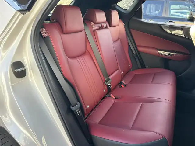 レクサス ＮＸ 250 岩手県 2022(令4)年 0.7万km ソニッククォーツ ４WD/純正ナビ　/フルセグTV/全方位カメラ/サイドカメラ　/レザーシート/ドライブレコーダー　/ＥＴＣ　/純正アルミ冬タイヤセット有　/前席パワーシート　/電動バックドア/衝突軽減装置/革巻きステアリング/パドルシフト　　　/純正エンジンスターター　/スマートキー×２　/カードキー　/ドアバイザー /フロアマット /保証書 取説