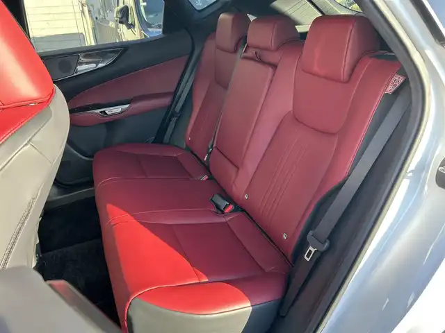 レクサス ＮＸ 250 岩手県 2022(令4)年 0.7万km ソニッククォーツ ４WD/純正ナビ　/フルセグTV/全方位カメラ/サイドカメラ　/レザーシート/ドライブレコーダー　/ＥＴＣ　/純正アルミ冬タイヤセット有　/前席パワーシート　/電動バックドア/衝突軽減装置/革巻きステアリング/パドルシフト　　　/純正エンジンスターター　/スマートキー×２　/カードキー　/ドアバイザー /フロアマット /保証書 取説