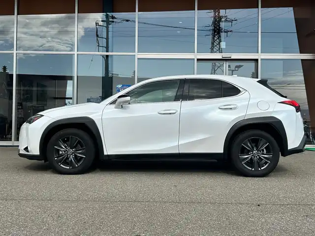 レクサス ＵＸ 富山県 2021(令3)年 1.7万km パール ワンオーナー/セーフティシステム＋/純正SDナビ/フルセグTV/Bluetooth接続/USB接続/AM/FMラジオ/Miracast/バックカメラ/360°カメラ/前後ドラレコ/BSM/D/N席パワーシート/D/N席シートヒーター/ヒートステアリング/オートホールド/アイドリングストップ/プッシュスタート/パワーバックドア/ACC/盗難防止/横滑り防止/衝突軽減