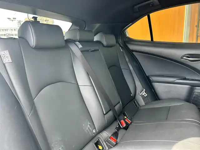 レクサス ＵＸ 富山県 2021(令3)年 1.7万km パール ワンオーナー/セーフティシステム＋/純正SDナビ/フルセグTV/Bluetooth接続/USB接続/AM/FMラジオ/Miracast/バックカメラ/360°カメラ/前後ドラレコ/BSM/D/N席パワーシート/D/N席シートヒーター/ヒートステアリング/オートホールド/アイドリングストップ/プッシュスタート/パワーバックドア/ACC/盗難防止/横滑り防止/衝突軽減