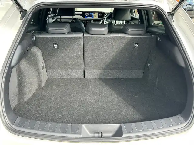 レクサス ＵＸ 富山県 2021(令3)年 1.7万km パール ワンオーナー/セーフティシステム＋/純正SDナビ/フルセグTV/Bluetooth接続/USB接続/AM/FMラジオ/Miracast/バックカメラ/360°カメラ/前後ドラレコ/BSM/D/N席パワーシート/D/N席シートヒーター/ヒートステアリング/オートホールド/アイドリングストップ/プッシュスタート/パワーバックドア/ACC/盗難防止/横滑り防止/衝突軽減