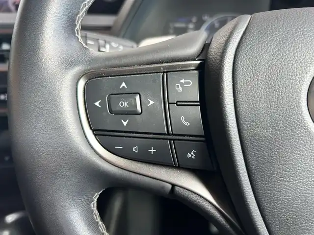 レクサス ＵＸ 富山県 2021(令3)年 1.7万km パール ワンオーナー/セーフティシステム＋/純正SDナビ/フルセグTV/Bluetooth接続/USB接続/AM/FMラジオ/Miracast/バックカメラ/360°カメラ/前後ドラレコ/BSM/D/N席パワーシート/D/N席シートヒーター/ヒートステアリング/オートホールド/アイドリングストップ/プッシュスタート/パワーバックドア/ACC/盗難防止/横滑り防止/衝突軽減