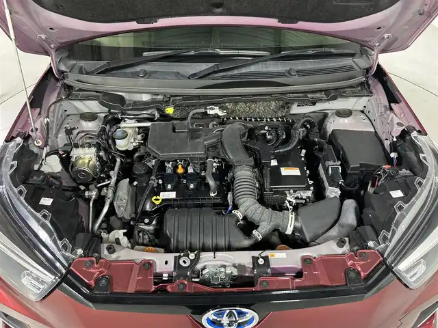 トヨタ ライズ G 佐賀県 2022(令4)年 4.9万km ファイアークォーツレッドM 9型ディスプレイオーディオ/(AM FM BT　Apple CarPlay　Android Auto　IPOD　USB HDMI)/衝突軽減ブレーキ/レーンキープアシスト/先行車発進告知/標識認識/ステアリングアシスト/ふらつき警報/コーナーセンサー/ビルトインETC/前後ドラレコ/電動パーキング/ブレーキホールド/LEDオートライト/オートハイビーム/フォグ/電動格納ミラー/S-PDL