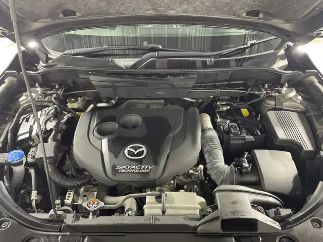 マツダ ＣＸ－５ XD プロアクティブ 神奈川県 2018(平30)年 7.3万km チタニウムフラッシュマイカ マツダコネクト/CD DVD　フルセグ/Bluetooth　USB　AUX USB/360度ビューカメラ/i-ACTIVSENSE/アドバンストスマートシティブレーキ/後退時スマートシティブレーキサポート/誤発進抑制機能/スマートブレーキサポート/レーダークルーズコントロール/ブラインドスポットモニタリング/車線逸脱警報システム/レーンキープアシストシステム/前後センサー/ドライバーアテンションアラート/カラーマルチインフォメーションディスプレイ/アクティブドライビングディスプレイ/交通標識認識システム/ヘッドアップディスプレイ/アイドリングストップ/革巻きステアリング/ステアリングスイッチ/電動パーキングブレーキ/オートブレーキホールド/社外前方ドライブレコーダー/社外ETC/プッシュスタート/スマートキー/アダブティブLEDヘッドランプ【オートハイビーム】/シグネチャーLEDランプ/オートライト/純正19インチアルミホイール/スペアキー