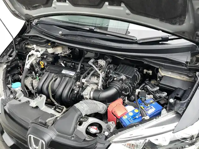 ホンダ フィット 13G Lパッケージ ファインED 千葉県 2017(平29)年 4.1万km クリスタルブラックパール ワンオーナー/メモリナビ/フルセグテレビ/バックカメラ/ウィンカーミラー/クルーズコントロール/プッシュスタート/ETC/ウインカーミラー/プラズマクラスター/ステアスイッチ/シティブレーキアクティブシステム/R2．R4．R6年記録簿あり/Bluetooth