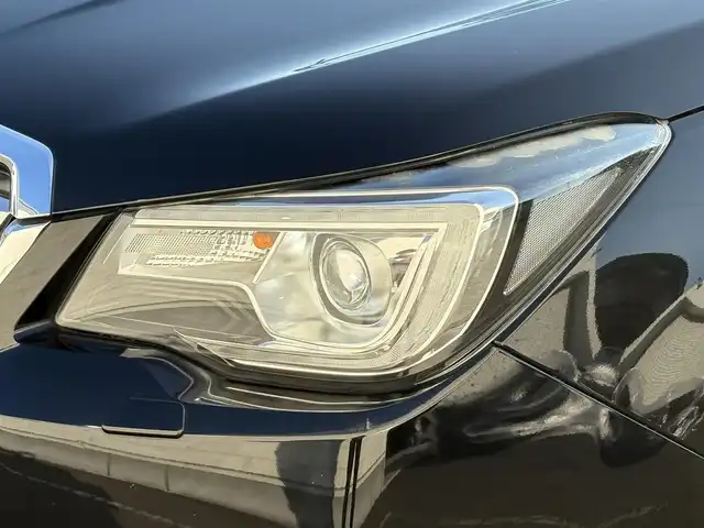 スバル フォレスター Xブレイク 岩手県 2016(平28)年 9万km クリスタルブラックシリカ 禁煙車/4WD/アイサイトver.3/ハーフレザーシート/全席シートヒーター/社外エンジンスターター/ルーフレール/社外ルーフキャリア/社外ナビ/→フルセグTV/Bluetooth/CD/DVD/FM/AM/バックカメラ/追従型クルーズコントロール/横滑り防止装置/ステアリング連動ヘッドランプ/レーンキープアシスト/衝突軽減システム/X-MODE/オートライト/LEDヘッドライト/フォグライト/〇キーレス/〇パドルシフト/〇電動格納ミラー/〇ウィンカーミラー/〇ドアバイザー/〇社外ラバーマット/〇シガーソケット/〇USBポート/前後ドライブレコーダー/ETC/冬タイヤ純正アルミホイール車載