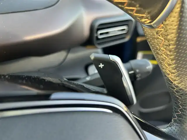 プジョー リフター GTライン ファーストLTD 滋賀県 2021(令3)年 3.7万km 青 デジタルインナーミラー/マルチパノラマミックルーフ/ルーフライト/リアシーリングBOX/ドライブレコーダー(F/R)/AppleCarPlay/ACC/LKA/純正１７AW/ETC