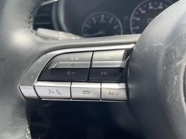 マツダ ＣＸ－３０ 20S プロアクティブツーリングセレ 栃木県 2019(令1)年 4.8万km ソニックシルバーM 純正マツダコネクトナビゲーション/360度ビューモニター/地デジTV/Bluetooth/CD/DVD/スマートブレーキサポート/AT誤発進抑制制御/レーダークルーズコントロール/車線逸脱警報システム/レーンキープアシスト/ブラインドスポットモニタリング/パワーバックドア/アダプティブLEDヘッドランプ/純正18インチアルミホイール/パワーシート【運転席】/シートヒーター【運転席/助手席】/アドバンストキーレスエントリーシステム/保証書/取扱説明書/スペアキー１本
