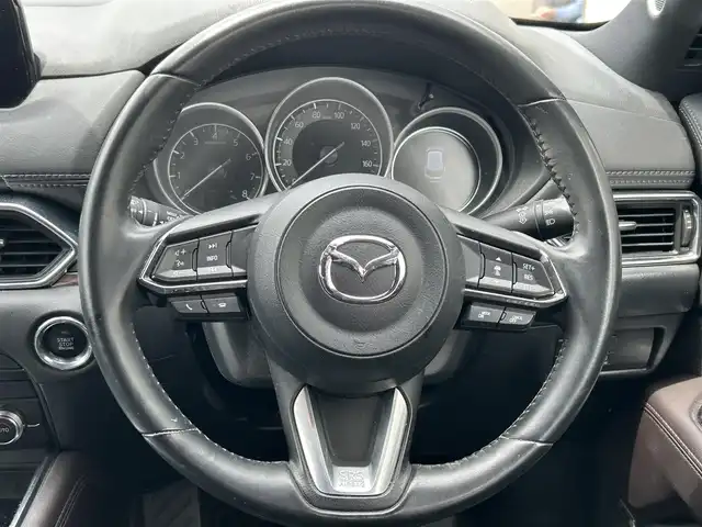 マツダ ＣＸ－８ 25S プロアクティブ 愛知県 2019(令1)年 6.7万km ジェットブラックマイカ ワンオーナー/純正メモリナビ/BOSEスピーカー/フルセグテレビ/アラウンドビューモニター/バックカメラ/レーンキープアシスト/アイドリングストップ/ブレーキホールド/パーキングセンサー/クルーズコントロール/プッシュスタート/ETC/パワーシート/ヒートシーター/純正アルミホイール/純正フロアマット/スマートキー/スペアキー/電動格納式ドアミラー