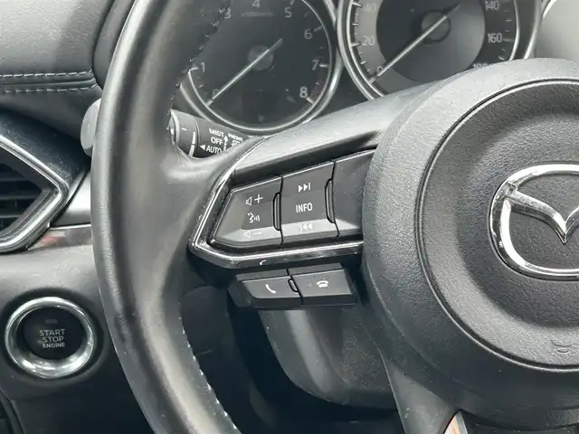 マツダ ＣＸ－８ 25S プロアクティブ 愛知県 2019(令1)年 6.7万km ジェットブラックマイカ ワンオーナー/純正メモリナビ/BOSEスピーカー/フルセグテレビ/アラウンドビューモニター/バックカメラ/レーンキープアシスト/アイドリングストップ/ブレーキホールド/パーキングセンサー/クルーズコントロール/プッシュスタート/ETC/パワーシート/ヒートシーター/純正アルミホイール/純正フロアマット/スマートキー/スペアキー/電動格納式ドアミラー