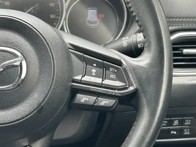 マツダ ＣＸ－８ 25S プロアクティブ 愛知県 2019(令1)年 6.7万km ジェットブラックマイカ ワンオーナー/純正メモリナビ/BOSEスピーカー/フルセグテレビ/アラウンドビューモニター/バックカメラ/レーンキープアシスト/アイドリングストップ/ブレーキホールド/パーキングセンサー/クルーズコントロール/プッシュスタート/ETC/パワーシート/ヒートシーター/純正アルミホイール/純正フロアマット/スマートキー/スペアキー/電動格納式ドアミラー