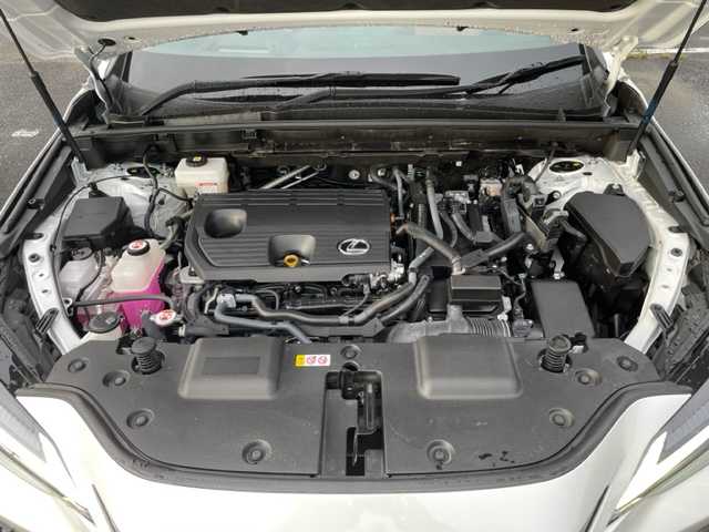 レクサス ＮＸ 350h バージョンL 茨城県 2023(令5)年 2万km ソニッククォーツ 純正ナビ　/-BT/AM/FM/TV/SD/レーダークルーズコントロール　/全方位カメラ　/ＥＴＣ2.0　/パーキングアシスト　/デジタルインナーミラー　/サンルーフ/レザーシート　/D席N席シートヒーター　/D席N席シートエアコン　/D席N席パワーシート　/ＬＥＤライト　/コーナーセンサー前後/アイドリングストップ/オートライト/オートマチックハイビーム/レーンキープアシスト/電動リアゲート