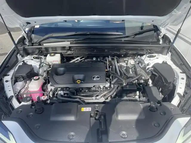 レクサス ＮＸ 350h バージョンL 佐賀県 2023(令5)年 2万km ソニッククォーツ サンルーフ/デジタルインナーミラー/レクサスセーフティシステム＋/・プリクラッシュセーフティ/・レーンキープアシスト/・レーダークルーズコントロール/・オートマチックハイビーム/クリアランスソナー/ブラインドスポットモニター/パーキングアシスト/パーキングサポートブレーキ/プロアクティブドライビングアシスト/純正ディスプレイ/・コネクトナビ/・パノラミックビューモニター/・フルセグTV/BT/純正前後ドラレコ/LEDヘッドライト/フォグランプ/ETC2.0/純正20インチAW/茶革シート/パワーシート/シートメモリ/シートヒーター/シートベンチレーション/パワーバックドア/革巻きステアリング/パドルシフト/ステアリングヒーター/電動パーキングスイッチ/ブレーキホールド/ヘッドアップディスプレイ/後席100V電源/トノカバー/ラゲッジマット/スペアキー×１/カードキー×1/取扱説明/保証書