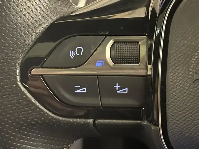 プジョー ３００８ GT ブルー HDi 静岡県 2019(令1)年 3.7万km パール ナビ・TV/Apple Carplay/サンルーフ/前後ドラレコ/衝突軽減ブレーキ/ACC BSM LKA/パドルシフト/ワイヤレス充電/インテリジェントハイビーム/360°カメラ/前席シートヒーター