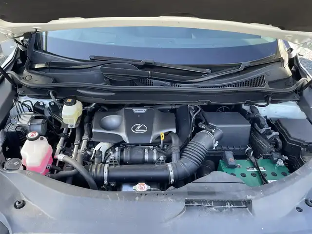 レクサス ＲＸ 200t Fスポーツ 埼玉県 2017(平29)年 5.5万km ホワイトノーヴァガラスフレーク 赤革シート/シートヒーター＆エアシート/純正ナビTV/バックカメラ＆左サイドカメラ/ビルトインETC2.0/パワーバックドア/クリアランスソナー/LEDヘッドライト/純正20インチAW/Fドライブレコーダー/レーダークルーズコントロール/セーフティセンス/プッシュスタート/スマートキー/保証書付整備手帳