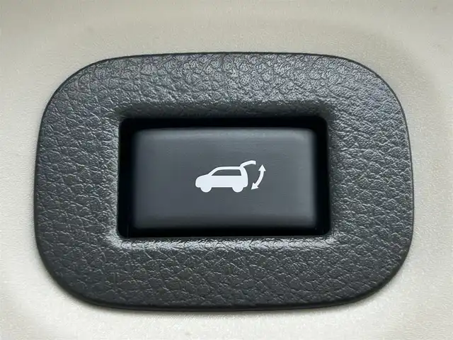 日産 エクストレイル 20Xi 静岡県 2019(平31)年 4.6万km ダイヤモンドブラック 純正9インチメモリナビ/（CD/DVD/BT/FM/AM/SD）/フルセグTV/プロパイロット/・インテリジェントLI（車線逸脱防止）/・BSW（後側方車両検知警報）/・RCTA（交代時車両検知）/アラウンドビューモニター/電動リアゲート/ETC/LEDヘッドライト/フォグランプ/パートナーコンビ防水シート/革巻きハンドル/ISOFIX/純正18AW