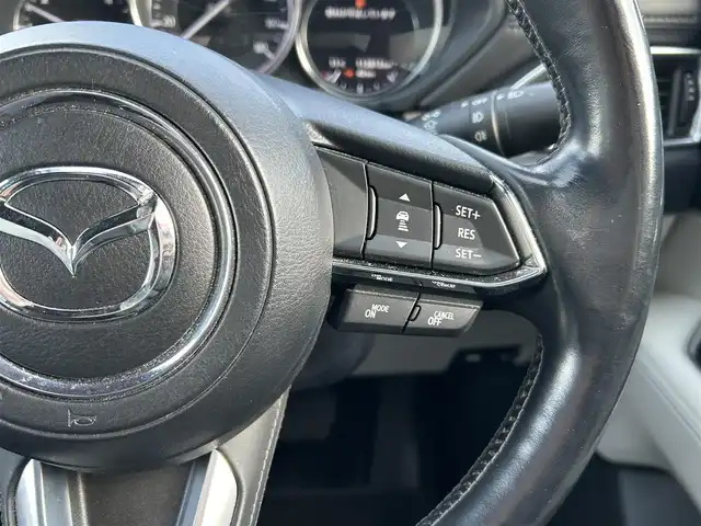 マツダ ＣＸ－８ XD Lパッケージ 栃木県 2018(平30)年 11.4万km マシーングレープレミアムM SBS/SCBS/車間認知支援システム/BSMシステム/レーンキープアシストシステム/交通標識認識機能/ドライバーアテンションアラート/純正SDナビ/・フルセグTV/・CD/DVD/BT/・USB/AUX/SD/・FM.AM/バックカメラ/サイドカメラ/パワーバックドア/マツダレーダークルーズコントロール/パーキングセンサー/シートヒーター（前席/Sシート）/ステアリングヒーター/革巻きステアリング/ステアリングスイッチ/社外ウーファー/白レザーシート/D/N席パワーシート/電子パーキングブレーキ/オートホールド/スマートキー/プッシュスタート/LEDヘッドライト/フォグランプ（F/R)/オートライト/オートハイビーム/社外17インチAW/純正フロアマット/横滑り防止システム/電動格納ウィンカーミラー