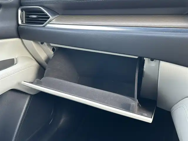 マツダ ＣＸ－８ XD Lパッケージ 栃木県 2018(平30)年 11.4万km マシーングレープレミアムM SBS/SCBS/車間認知支援システム/BSMシステム/レーンキープアシストシステム/交通標識認識機能/ドライバーアテンションアラート/純正SDナビ/・フルセグTV/・CD/DVD/BT/・USB/AUX/SD/・FM.AM/バックカメラ/サイドカメラ/パワーバックドア/マツダレーダークルーズコントロール/パーキングセンサー/シートヒーター（前席/Sシート）/ステアリングヒーター/革巻きステアリング/ステアリングスイッチ/社外ウーファー/白レザーシート/D/N席パワーシート/電子パーキングブレーキ/オートホールド/スマートキー/プッシュスタート/LEDヘッドライト/フォグランプ（F/R)/オートライト/オートハイビーム/社外17インチAW/純正フロアマット/横滑り防止システム/電動格納ウィンカーミラー