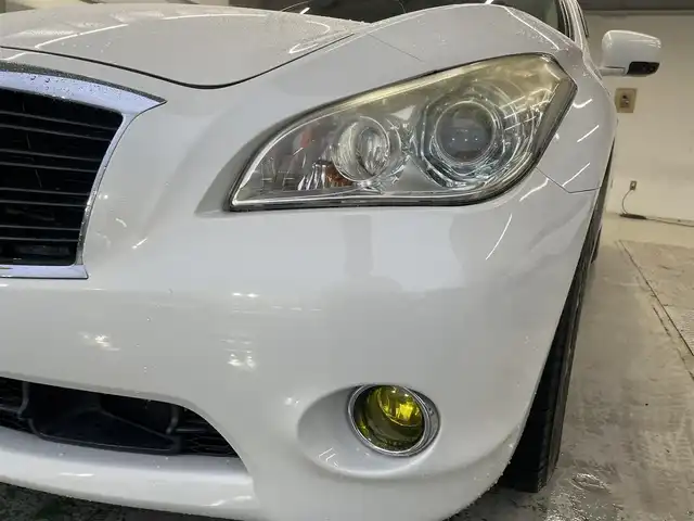 日産 フーガ ハイブリッド VIPパッケージ 千葉県 2012(平24)年 11.7万km クリスタルホワイトパール 純正ナビ(CD/DVD/地デジTV)/レザーシート/純正マット/レーダークルーズコントロール/前席シートヒーター/前席シートクーラー/運転席メモリシート/プッシュスタート/ドアバイザー/ドライブレコーダー/ビルトインETC/オートライト/フォグランプ(黄色)/リアサンシェード/HIDヘッドライト/左サイドカメラ/オールオートウィンドウ/電動チルトステアリング