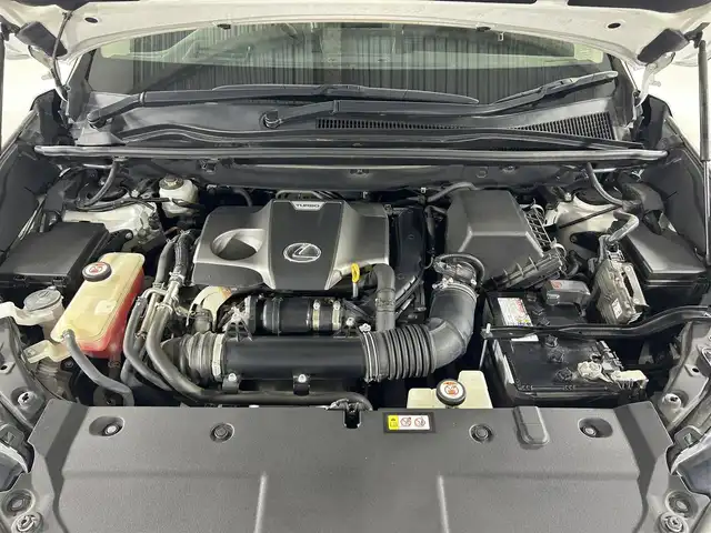 レクサス ＮＸ 300 Iパッケージ 佐賀県 2018(平30)年 4.2万km ソニッククォーツ ガラスルーフ/純正10インチナビ/CD/DVD/AM/FM/フルセグTV/USB/Bluetooth/レクサスセーフティシステム/全周囲カメラ/ワンオーナー/レーダークルーズコントロール/ブラインドスポットモニター/パワーバックドア /クリアランスソナー /前方ドライブレコーダー/パドルシフト/黒レザーシート/前席パワーシート/シートヒーター/ハンドルヒーター/ドアミラーヒーター/純正18インチアルミホイール/フロアマット/LEDライト/フォグライト /オートライト/オートハイビーム /スマートキー/スペアキー/100V充電/保証書/取扱説明書